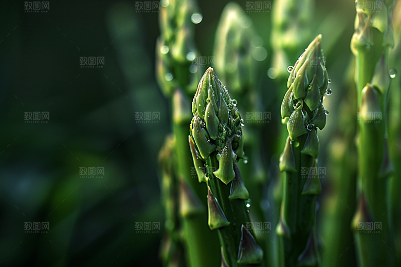芦笋高清轻食摄影图