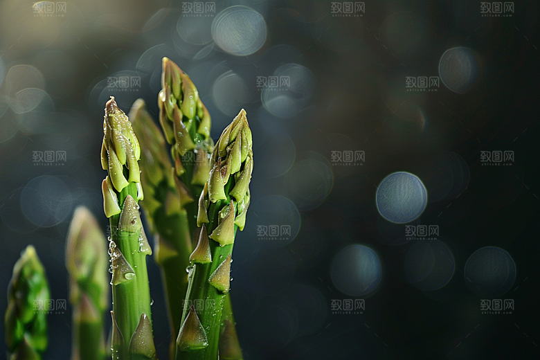 芦笋健身餐食材摄影图