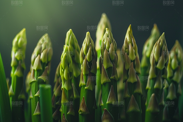 芦笋蔬菜抗癌摄影图