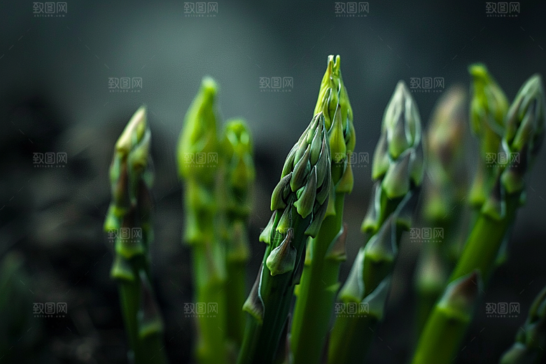 芦笋轻食高清摄影图