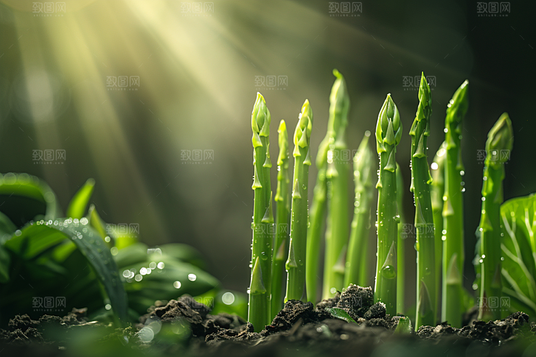 芦笋健身餐抗癌摄影图
