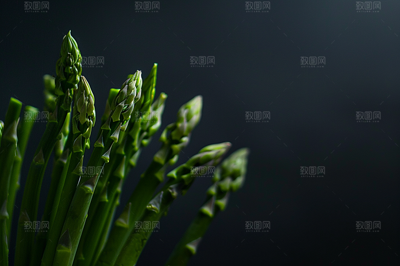 芦笋轻食绿色摄影图