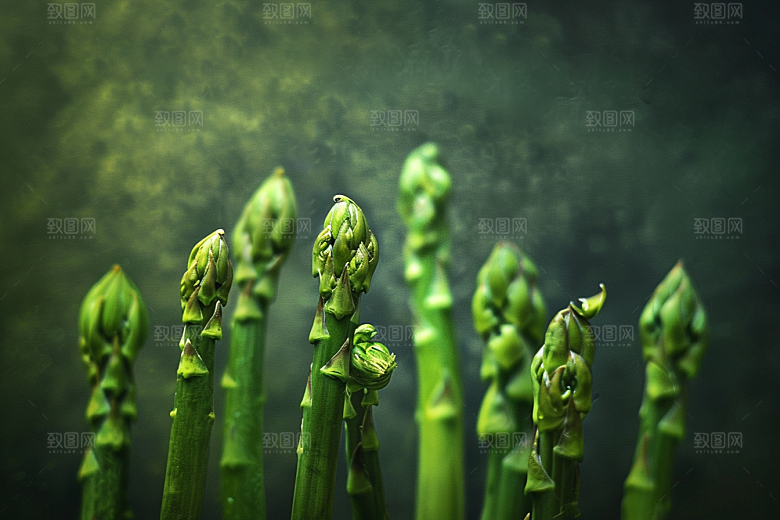 芦笋蔬菜自然摄影图