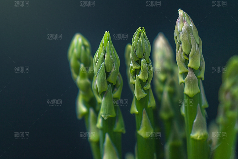 芦笋轻食自然摄影图