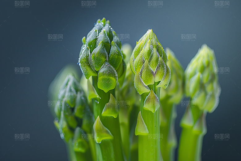 芦笋蔬菜抗癌摄影图