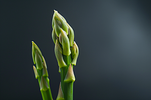 芦笋食材蔬菜摄影图