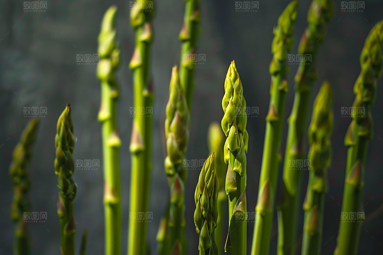 芦笋蔬菜抗癌摄影图