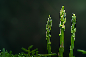 芦笋蔬菜绿色摄影图