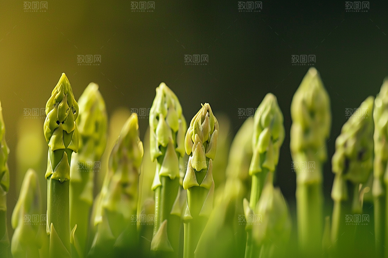 芦笋轻食蔬菜摄影图