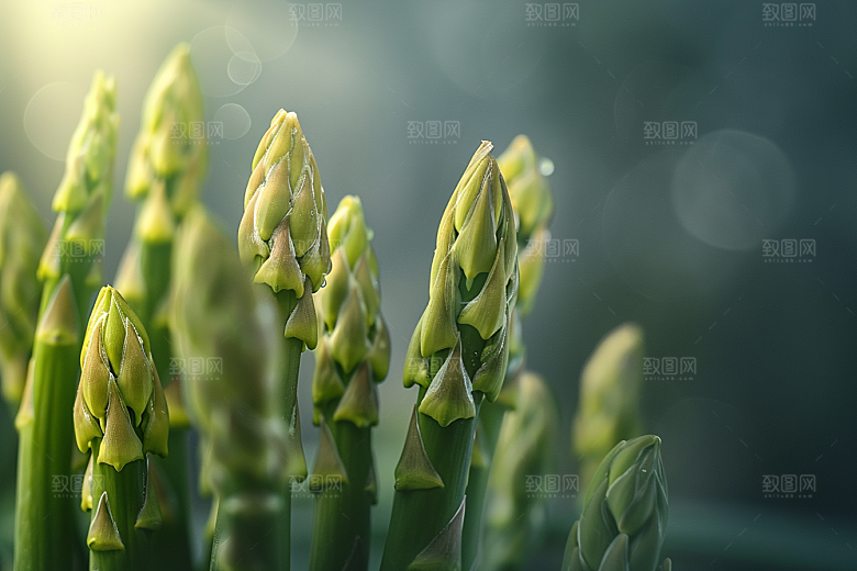 芦笋轻食抗癌摄影图