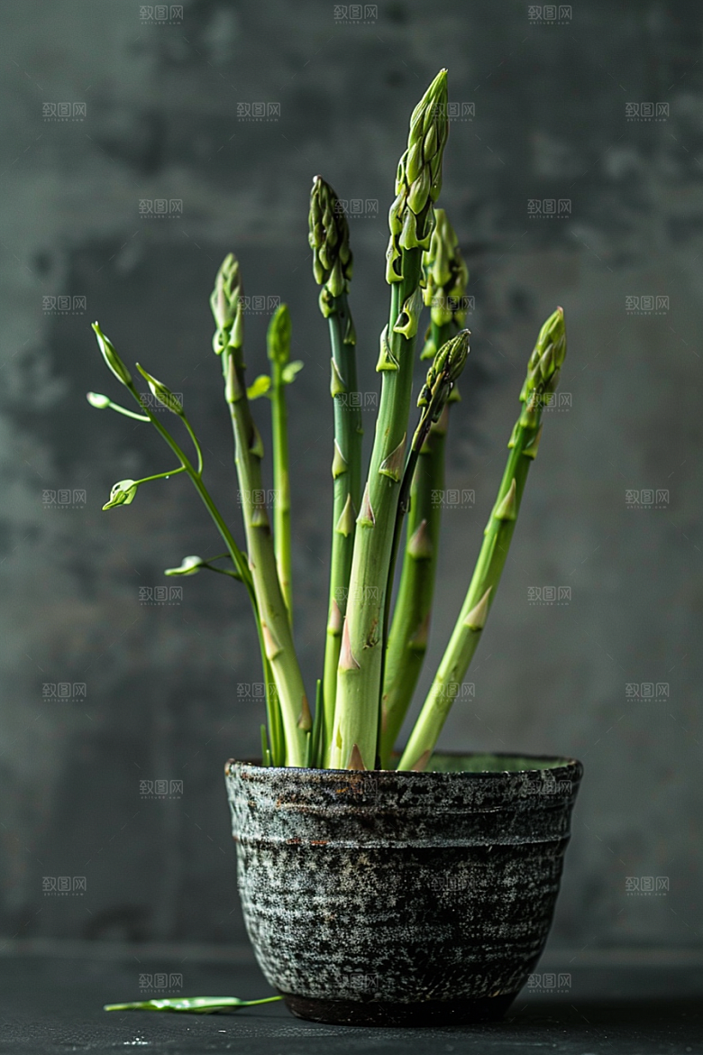 芦笋绿色自然摄影图