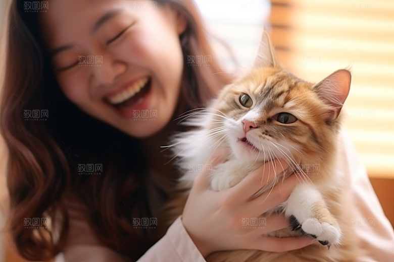 可爱猫咪高清猫科动物摄影图