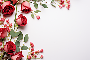 玫瑰边框花卉爱情摄影图