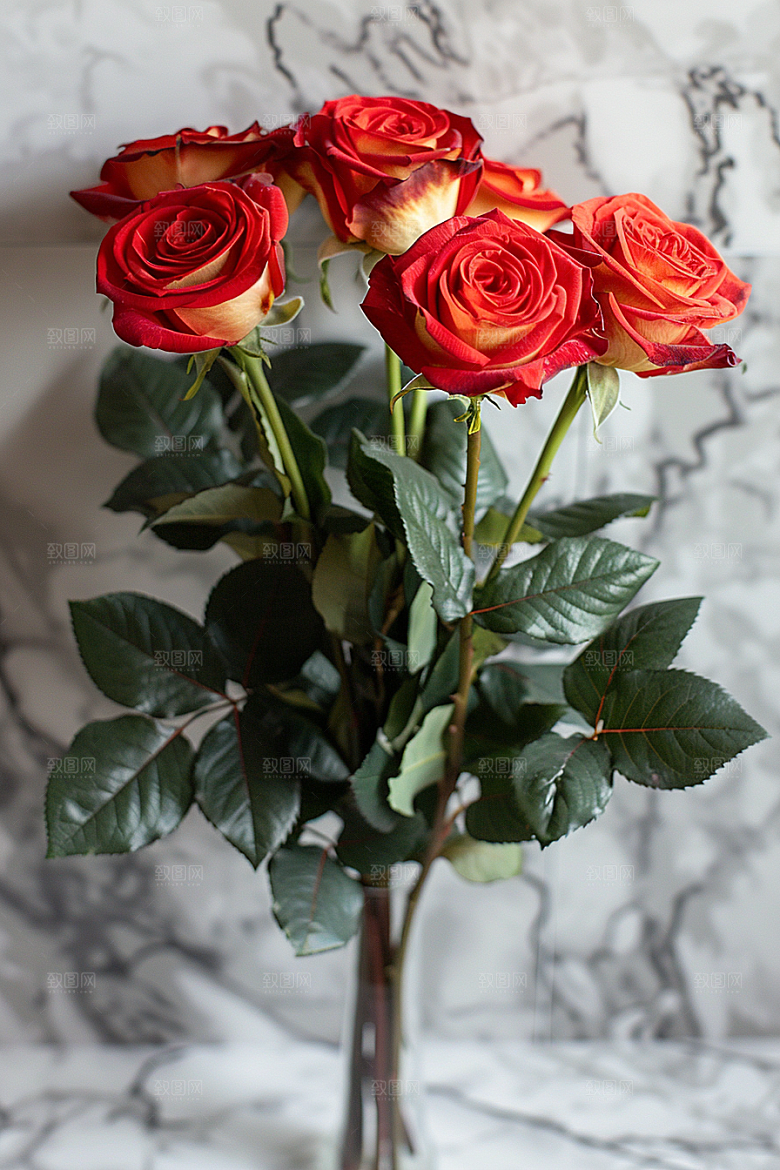 玫瑰花唯美优雅素材