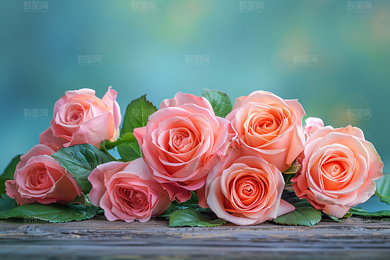 玫瑰花浪漫植物素材
