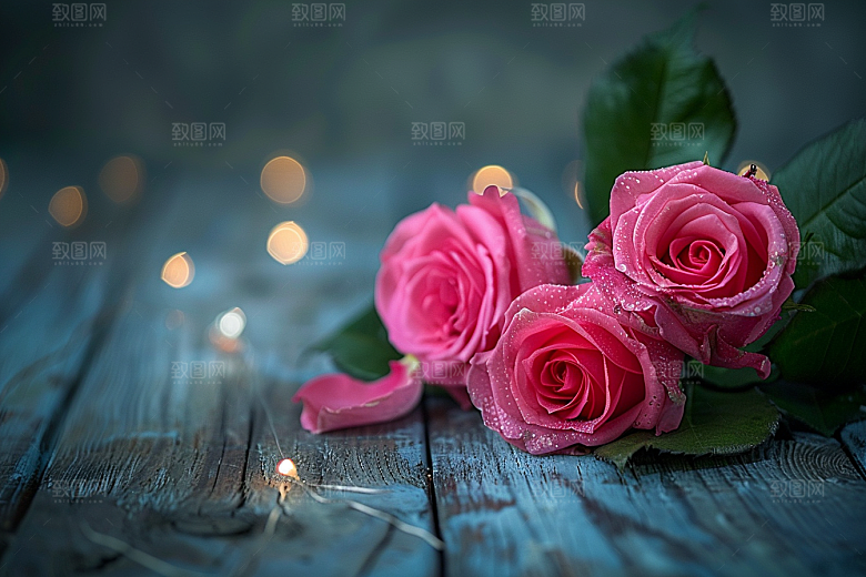 玫瑰花浪漫优雅素材