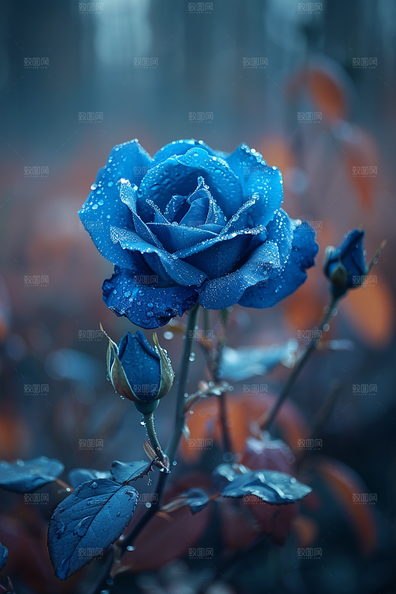 玫瑰花复古花卉素材