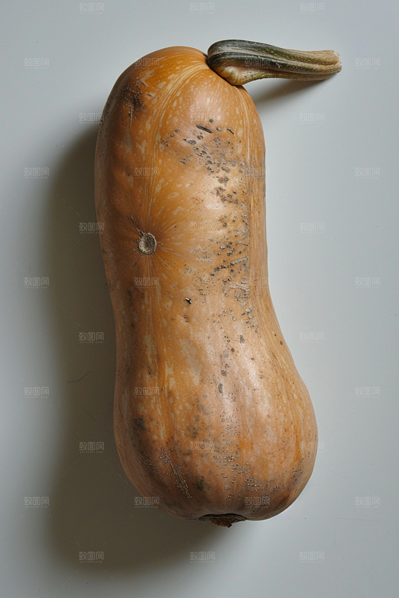 南瓜粮食高清摄影图