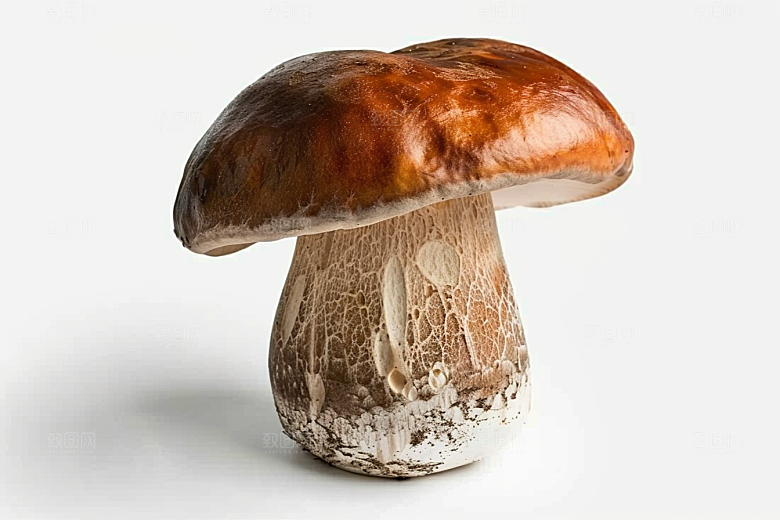 牛肝菌高清野味摄影图