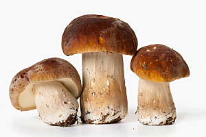 牛肝菌蘑菇食材摄影图