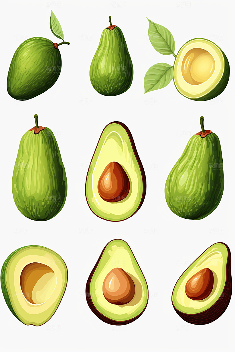 牛油果清新高清插画