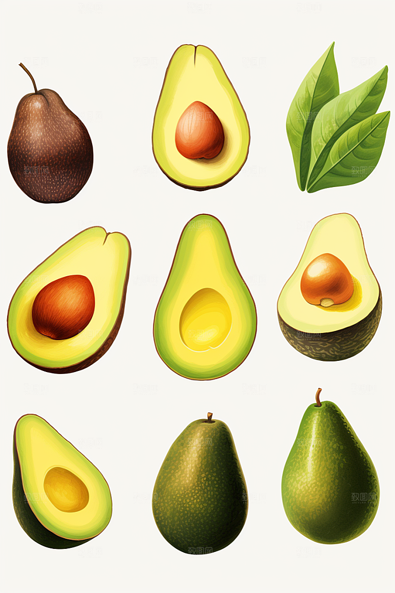 牛油果新鲜手绘插画