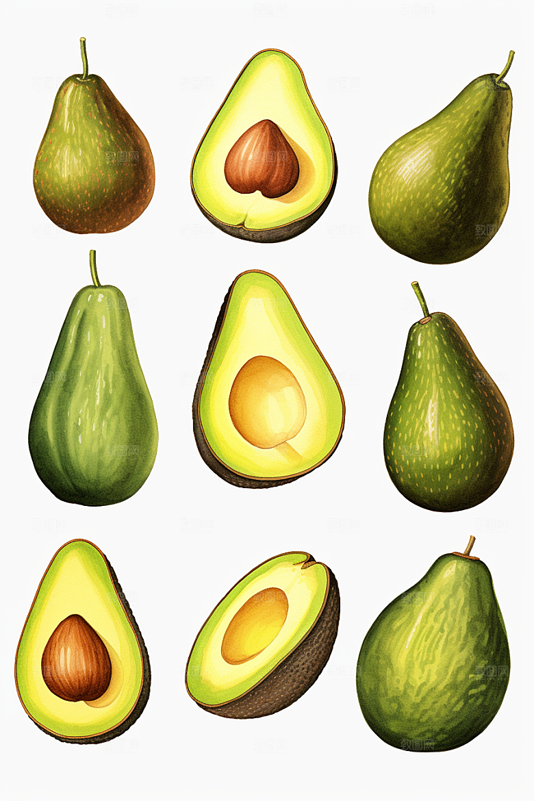 牛油果清新手绘插画
