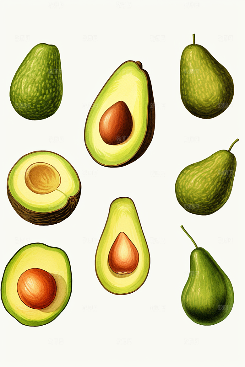 牛油果美食清新插画