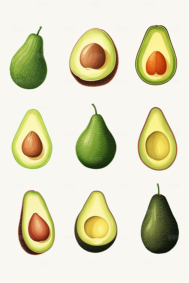 牛油果美食手绘插画