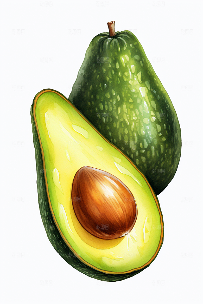 牛油果清新手绘插画