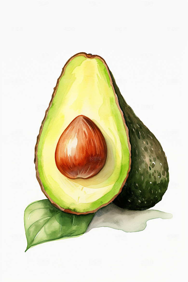 牛油果清新轻食插画