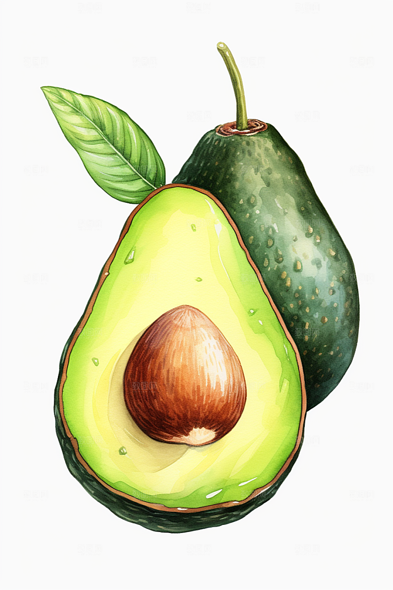 牛油果清新新鲜插画