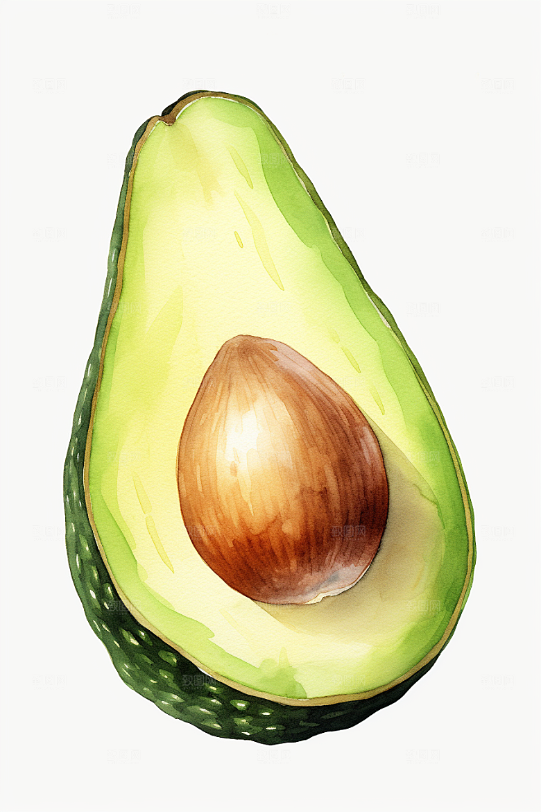 牛油果高清清新插画