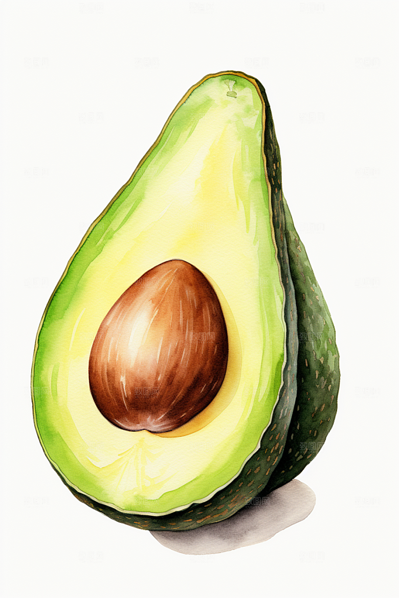 牛油果清新高清插画