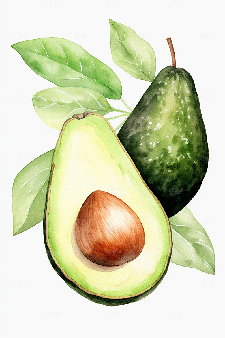牛油果美食新鲜插画