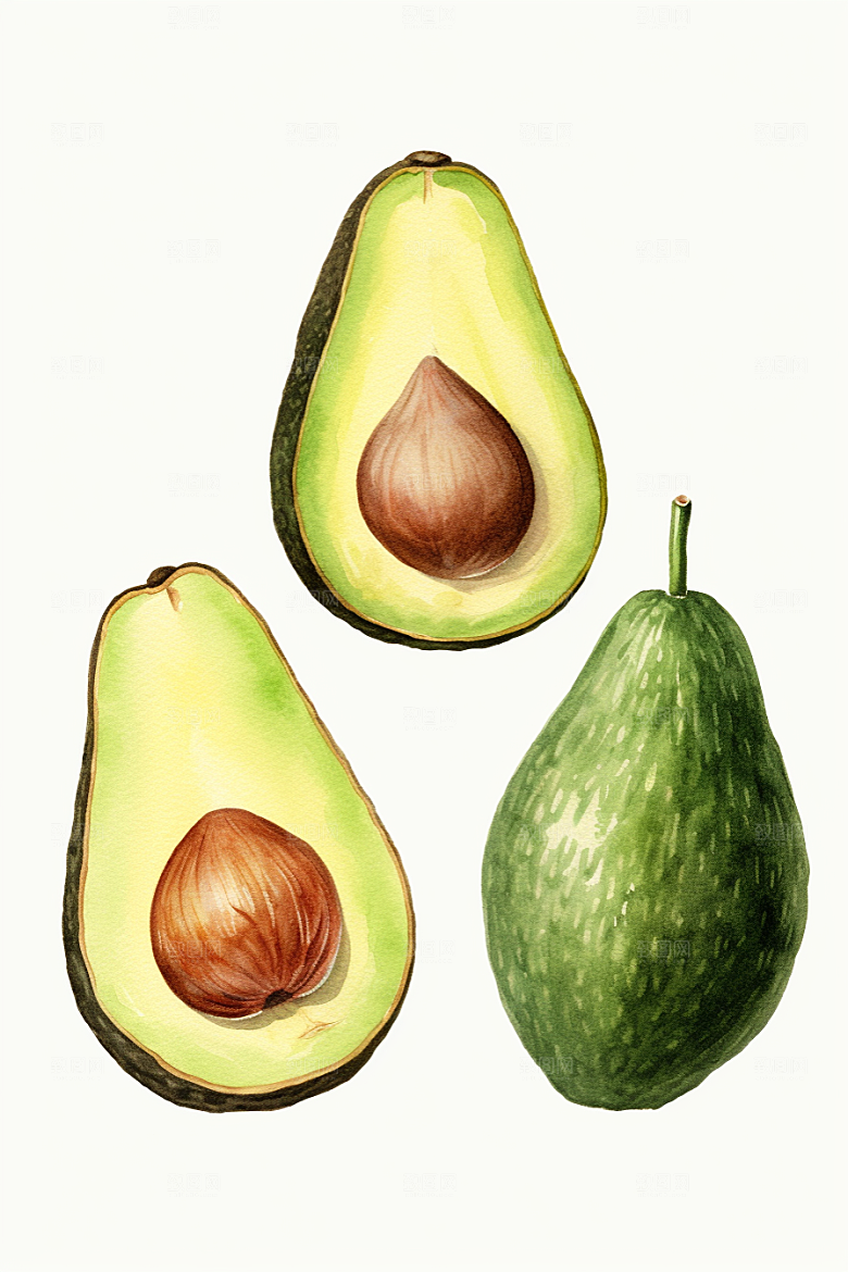 牛油果轻食水果插画