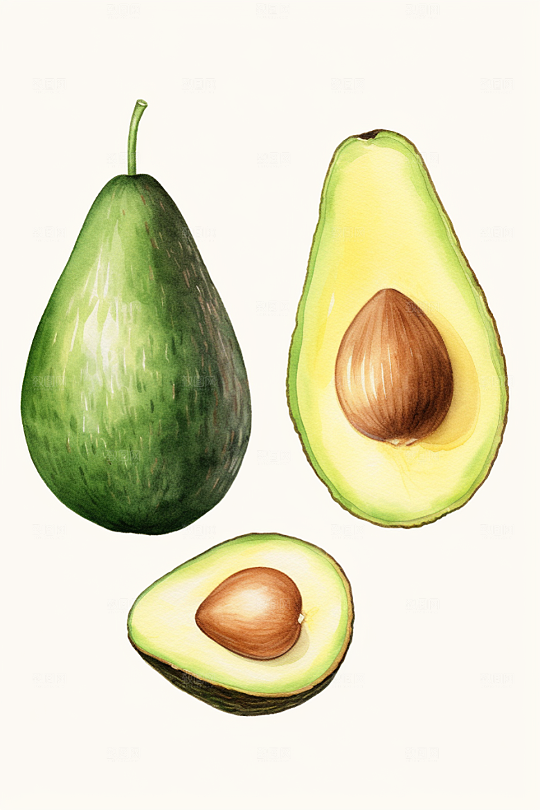 牛油果高清美食插画