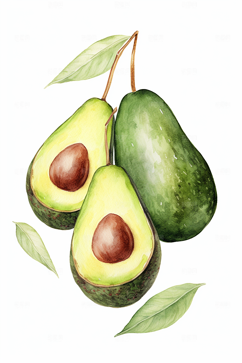 牛油果手绘美食插画