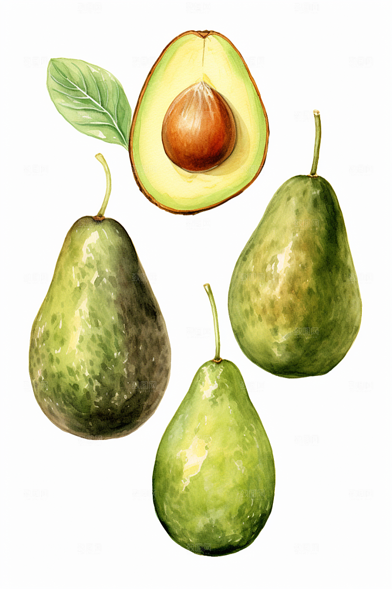 牛油果美食清新插画