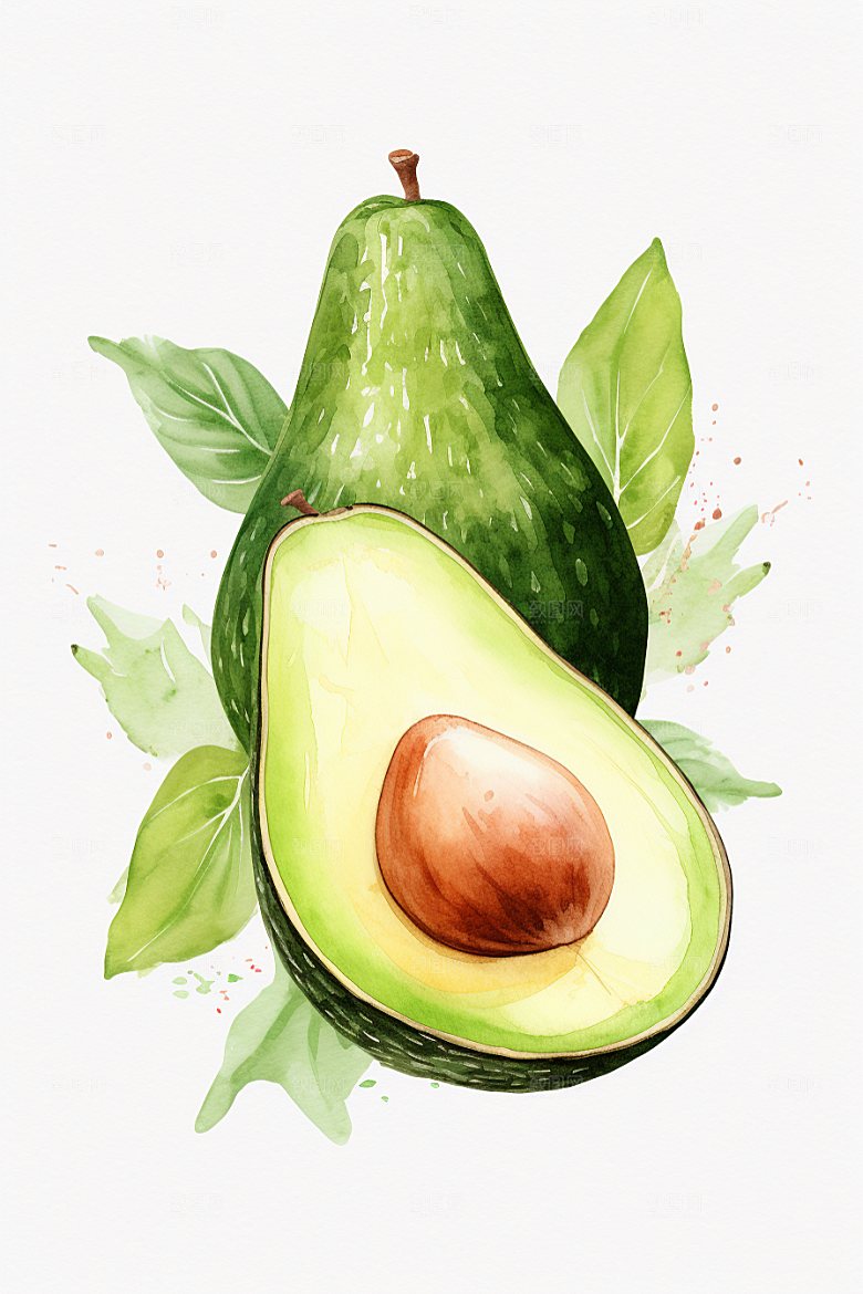 牛油果清新美食插画