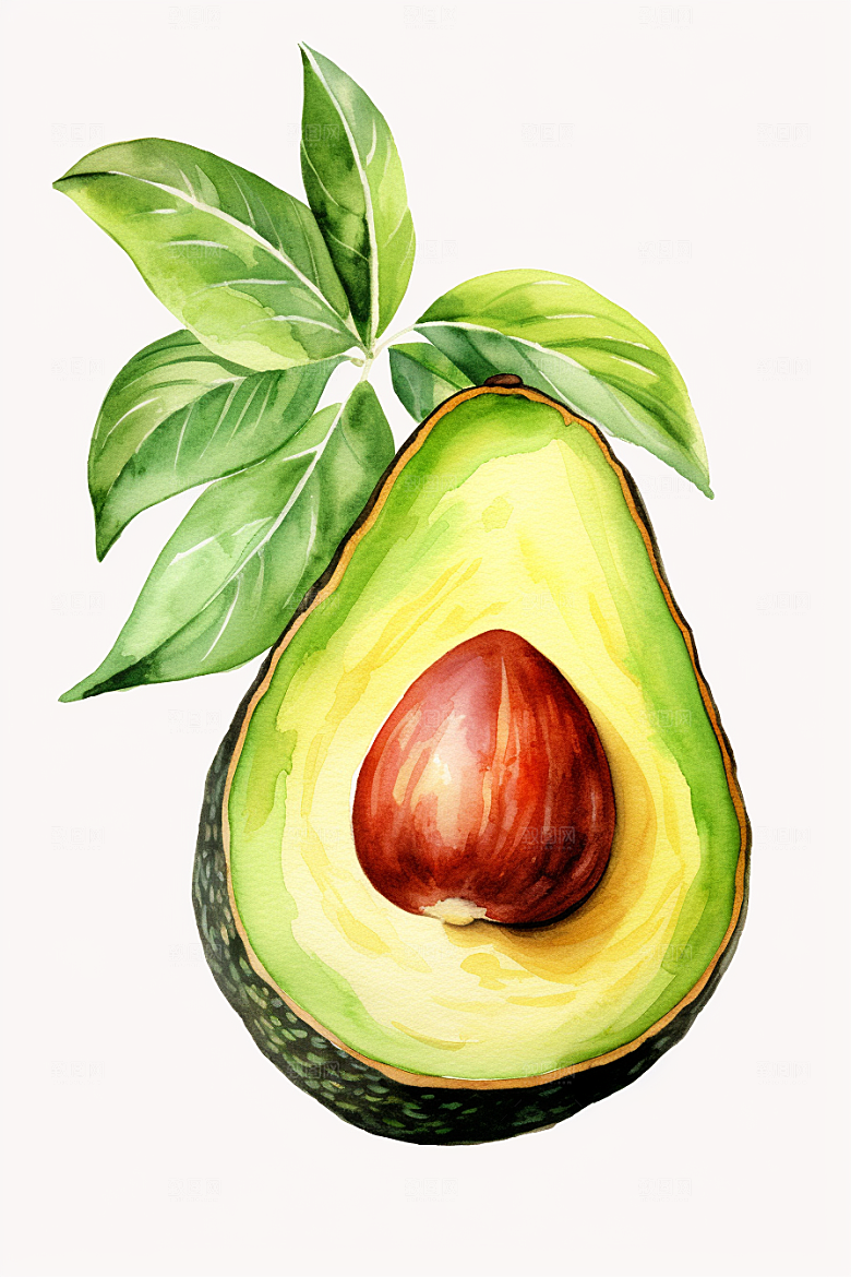 牛油果清新美食插画