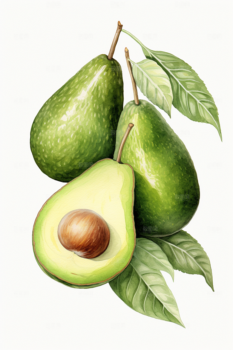牛油果新鲜美食插画