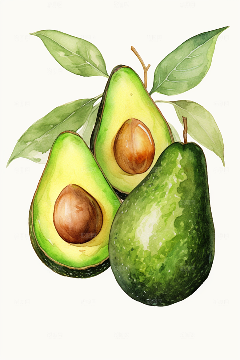 牛油果高清健康插画