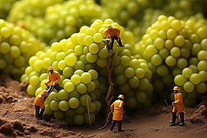葡萄采摘生产微距小人