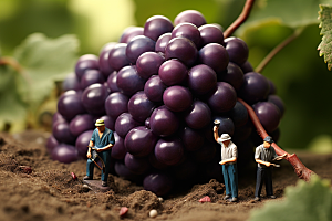 葡萄美味收获微距小人