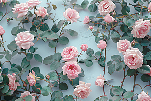 蔷薇花欧式花卉藤月摄影图
