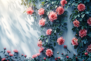 蔷薇花植物清新摄影图