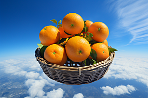 脐橙橙子果品高清摄影图