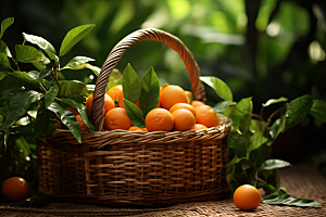 脐橙橙子水果美味摄影图