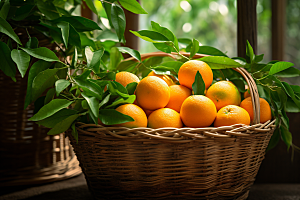 脐橙橙子果篮富含维C摄影图